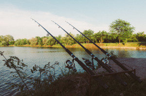 Fishing Reels at the Lake